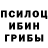 Галлюциногенные грибы мицелий Poornima Kumar