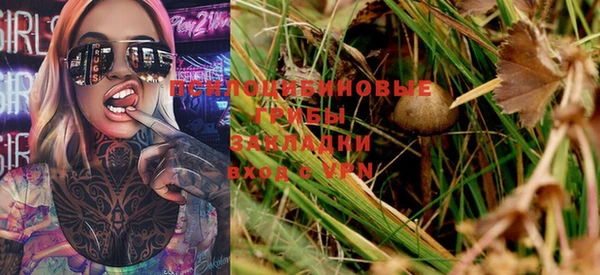 PSILOCYBIN Алексеевка