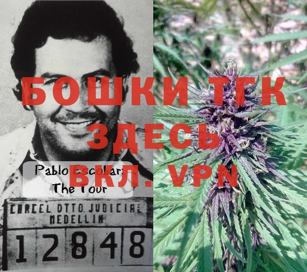 ПСИЛОЦИБИНОВЫЕ ГРИБЫ Медногорск